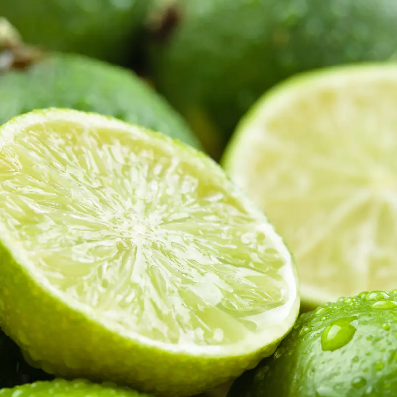 Persian Lime - Grow